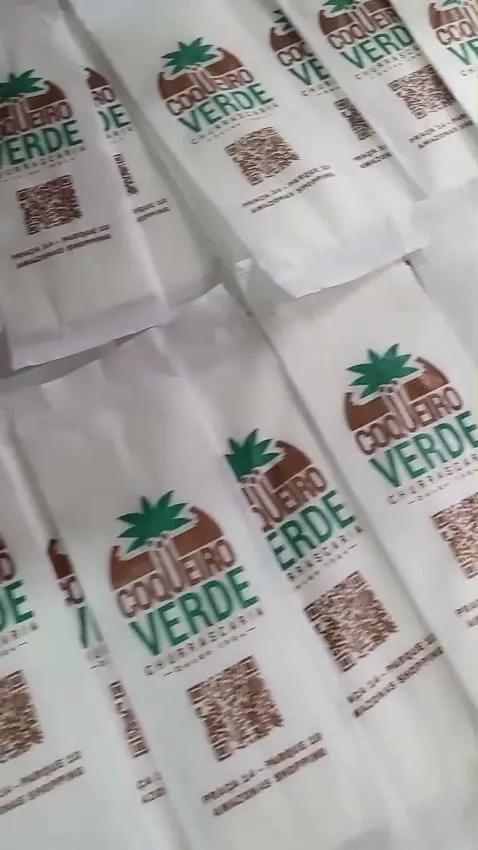 Sacos de papel Coqueiro Verde